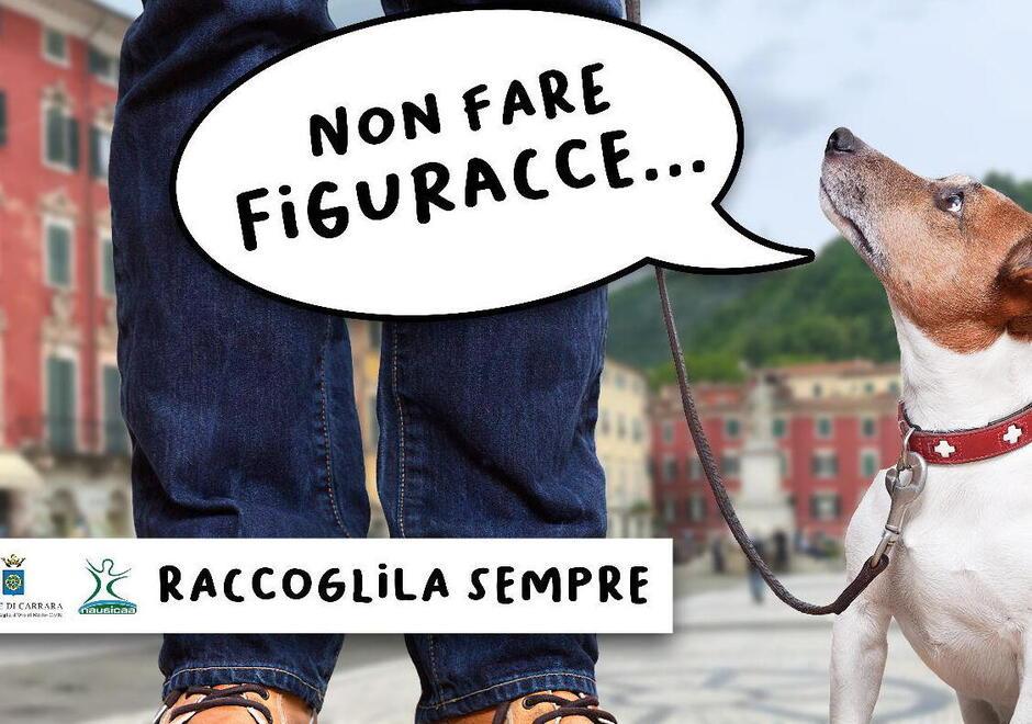 Carrara, decine di multe ai padroni dei cani che non raccolgono gli escrementi