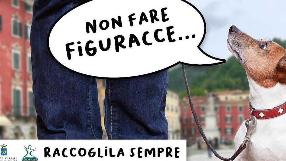 Carrara, decine di multe ai padroni dei cani che non raccolgono gli escrementi