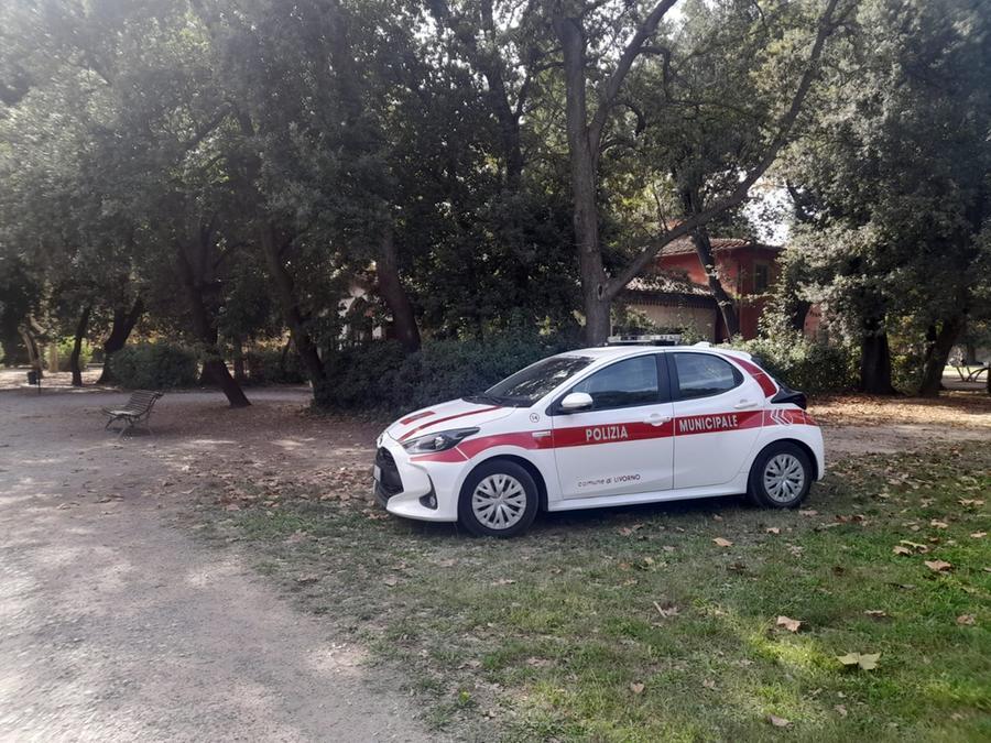 Livorno, ladri in Villa Fabbricotti: presi di mira chioschino e biblioteca