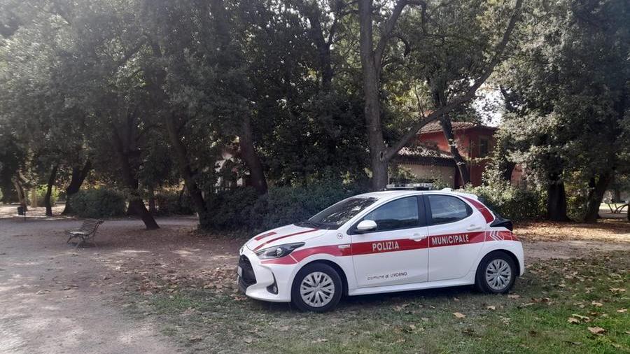 Livorno, ladri in Villa Fabbricotti: presi di mira chioschino e biblioteca