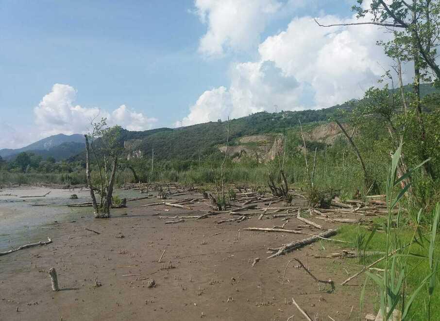 Una mmagine del lago di Porta senza uccelli