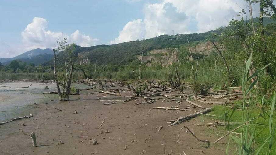 Una mmagine del lago di Porta senza uccelli