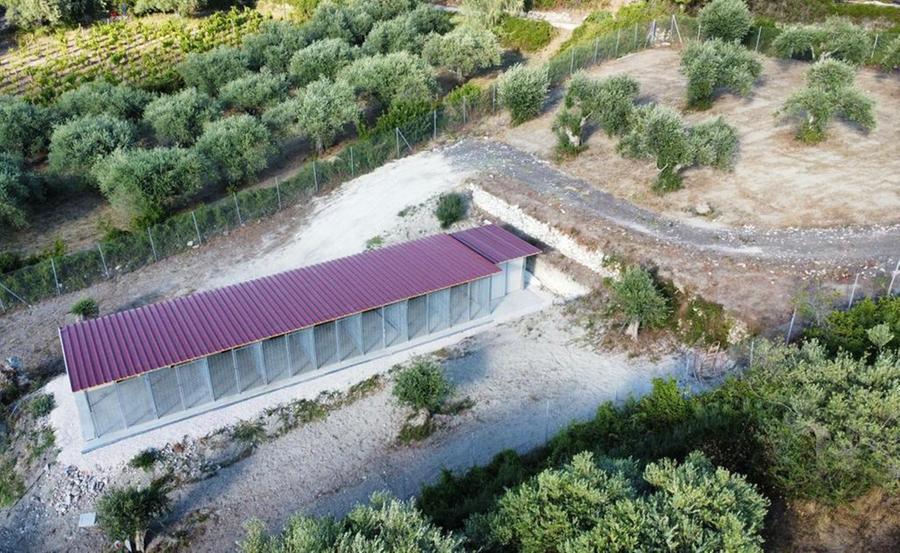 Magomadas  il Dog resort realizzato da Gabriele Sotgiu