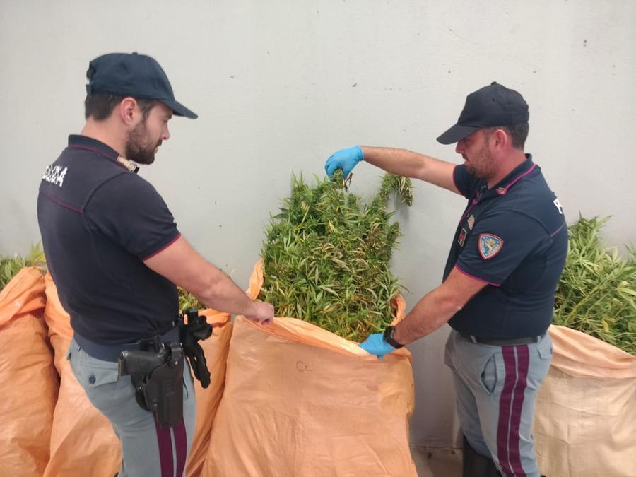 Nel furgone nascondeva 300 chili di marijuana, un arresto a Olbia