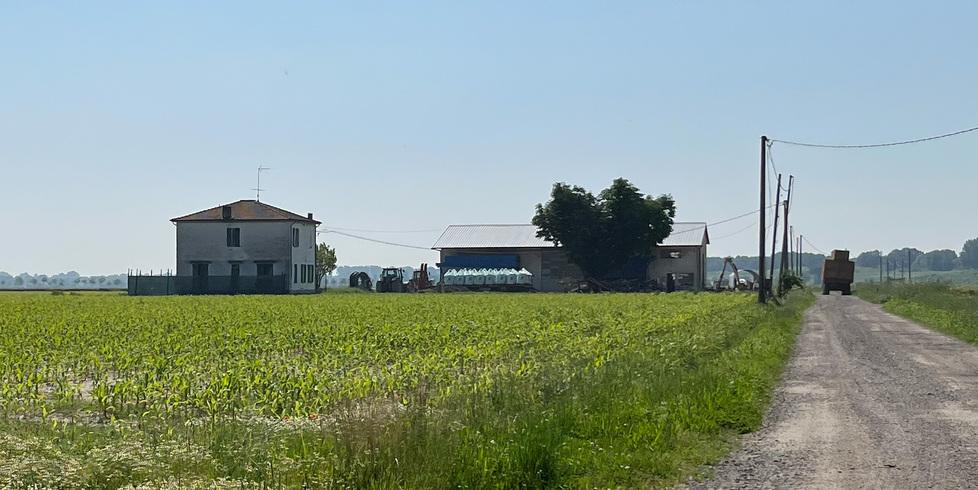 Bimbo morì travolto dal trattore. Indagine archiviata: «Una fatalità»<br type="_moz" />
