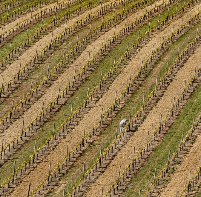 La foto di Franco Mariangeli vincitrice del concorso