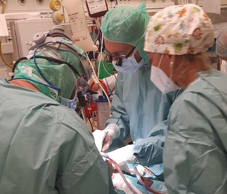 Chirurgia oncologica in panne: nell'isola 3 tumori alla prostata su 4 curati dopo un mese di attesa