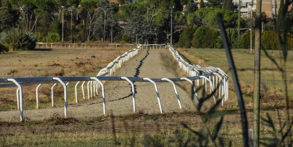Grosseto, il Tribunale mette in vendita l’ippodromo del Casalone