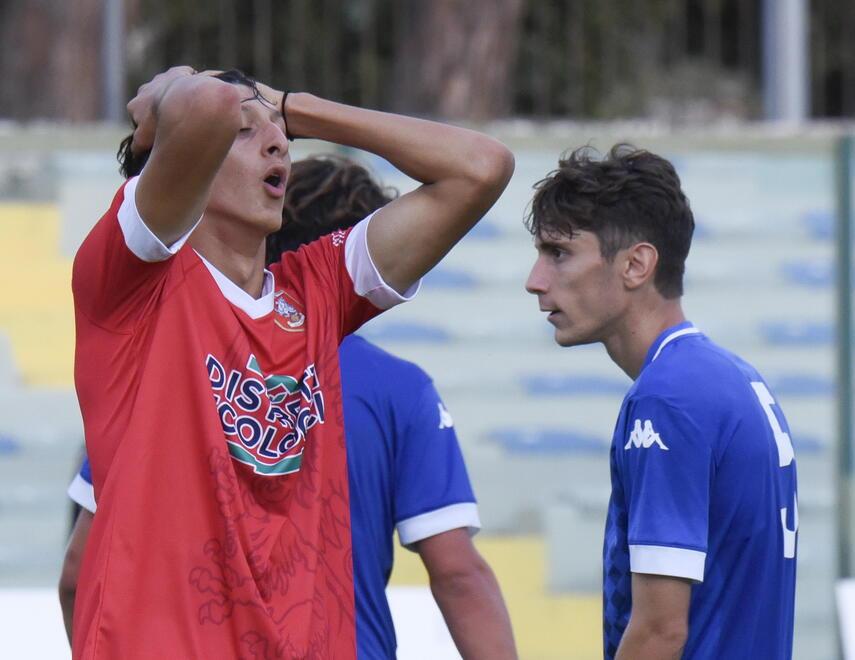 Il Grifone non riesce a volare