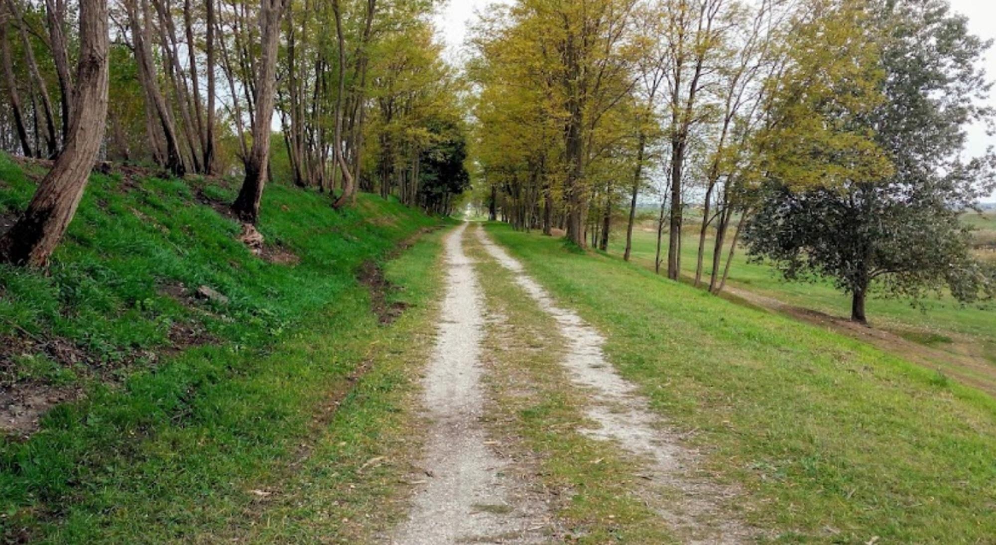 Via della Marginata, a Grecciano (foto d'archivio)