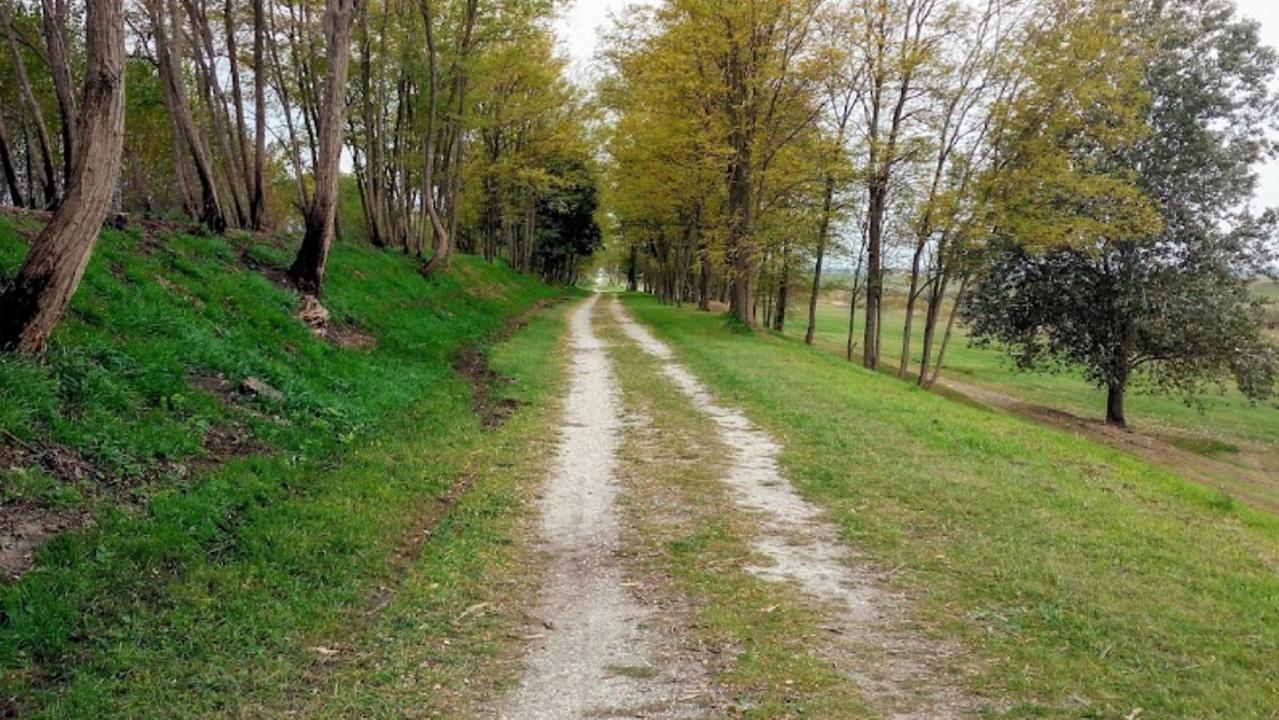 Via della Marginata, a Grecciano (foto d'archivio)