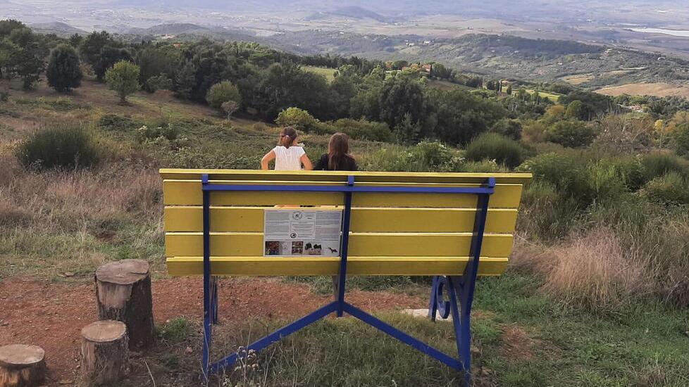 Anche Livorno scommette sulle panchine giganti: ecco dove