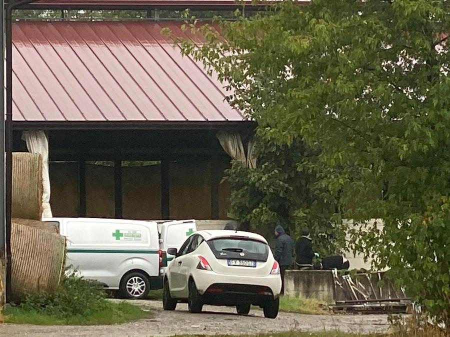 Trovato morto con la testa in un tombino nell’azienda agricola: stroncato da un malore