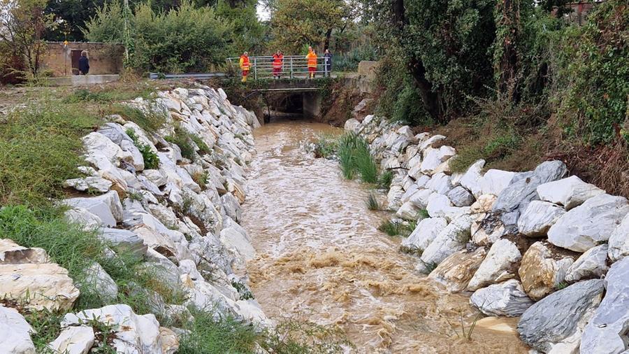 
	Protezione civile mentre monitora un corso d'acqua

