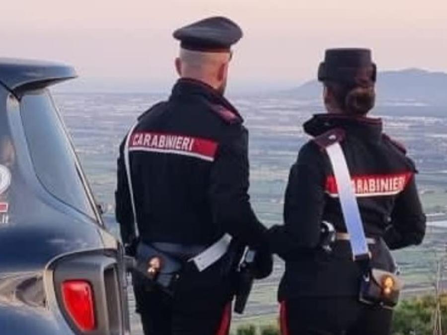 Investe un cavallo sull’Orientale sarda, ferito lievemente il conducente di un suv