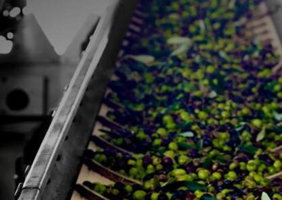 Terre dell’Etruria cerca personale: servono Addetti al punto vendita e autisti