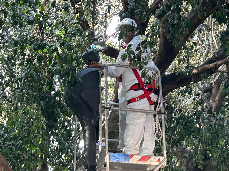 
	La sistemazione dei dissuasori

