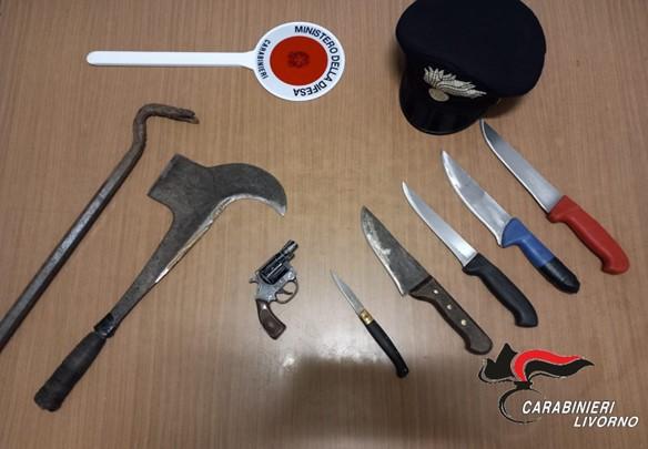 
	Le armi sequestrate dai carabinieri


