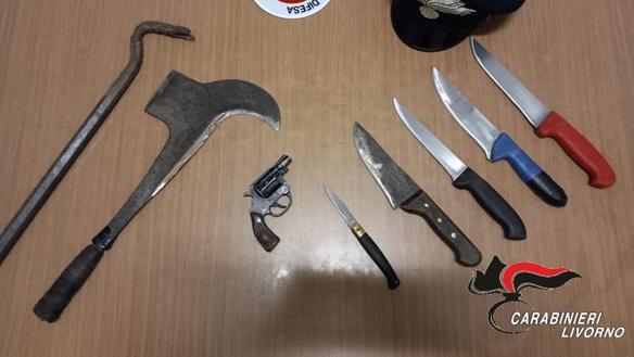 Le armi sequestrate dai carabinieri