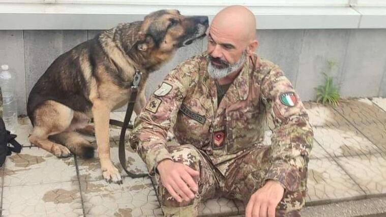 Claudio Cadeddu. Graduato aiutante e decano del Cemivet