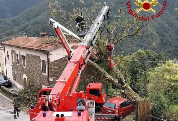 Stazzema, grossa pianta cade su una casa: per rimuoverla interviene l’autogrù