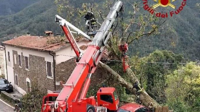 Stazzema, grossa pianta cade su una casa: per rimuoverla interviene l’autogrù