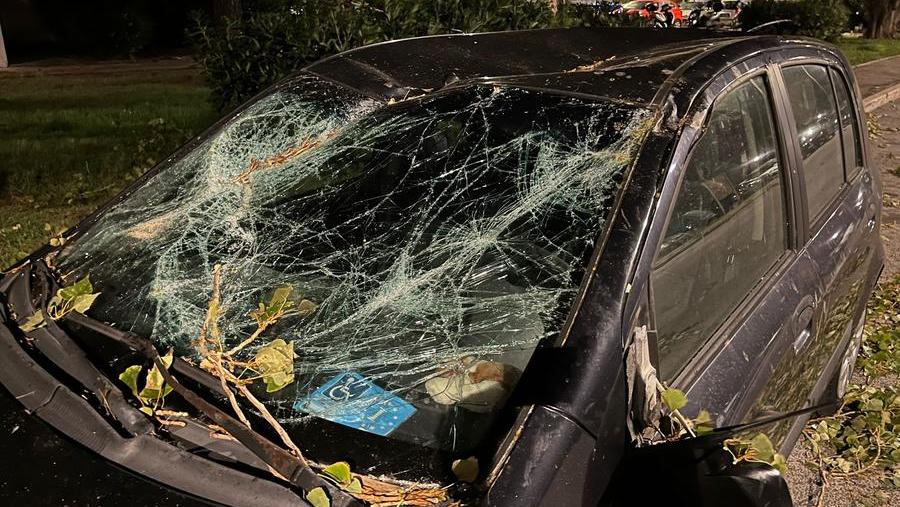 L'auto colpita dall'albero in via Guadalajara (foto Franco Silvi)