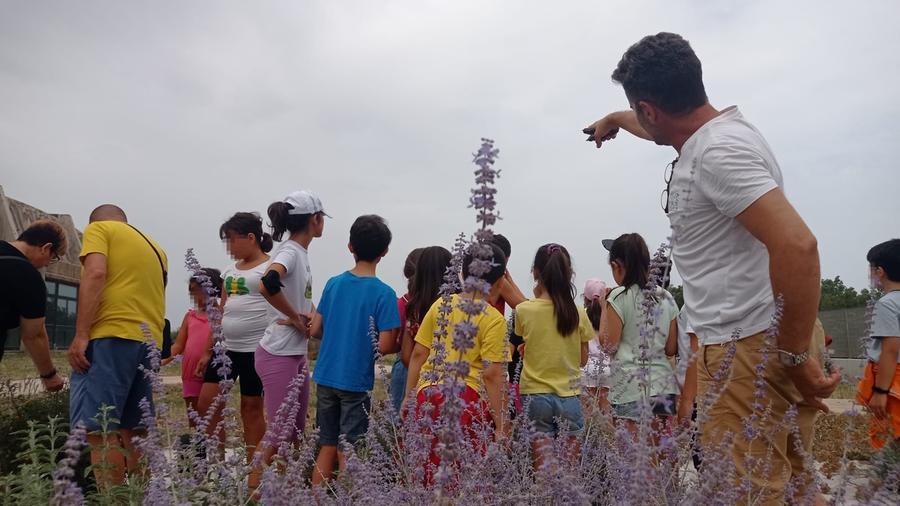 
	Sar&agrave; il Ceas a coordinare le attivit&agrave; ambientali

