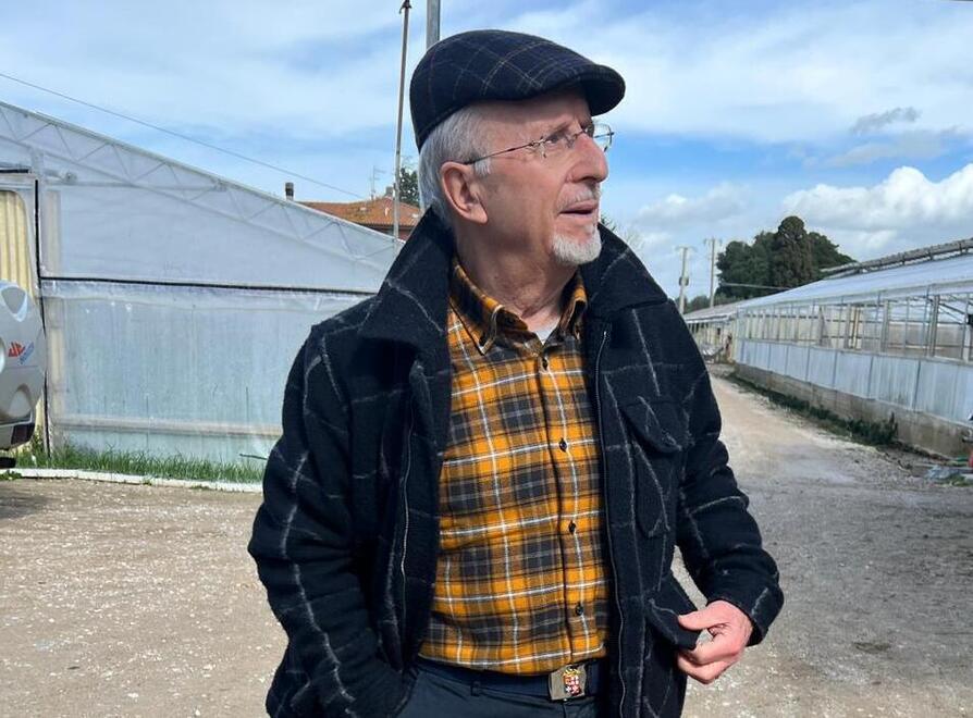 Piero Paradisi