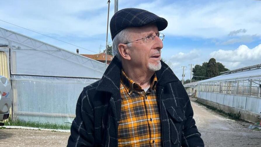 Piero Paradisi