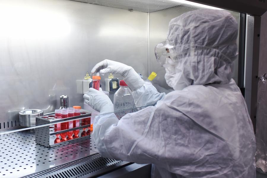 L’offerta formativa, dopo il diploma solo l’imbarazzo della scelta