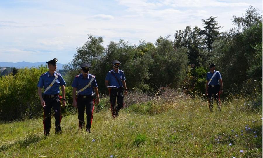 I carabinieri recuperano 5 chili di hascisc nelle campagne di Serramanna: erano nascosti in un cespuglio