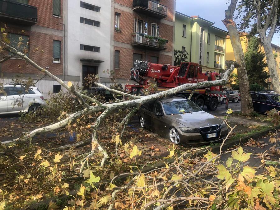 Raffiche di vento e alberi caduti, decine gli interventi dei vigili del fuoco