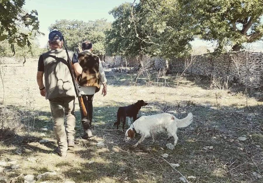 
	Due cacciatori nelle campagne dell'isola

