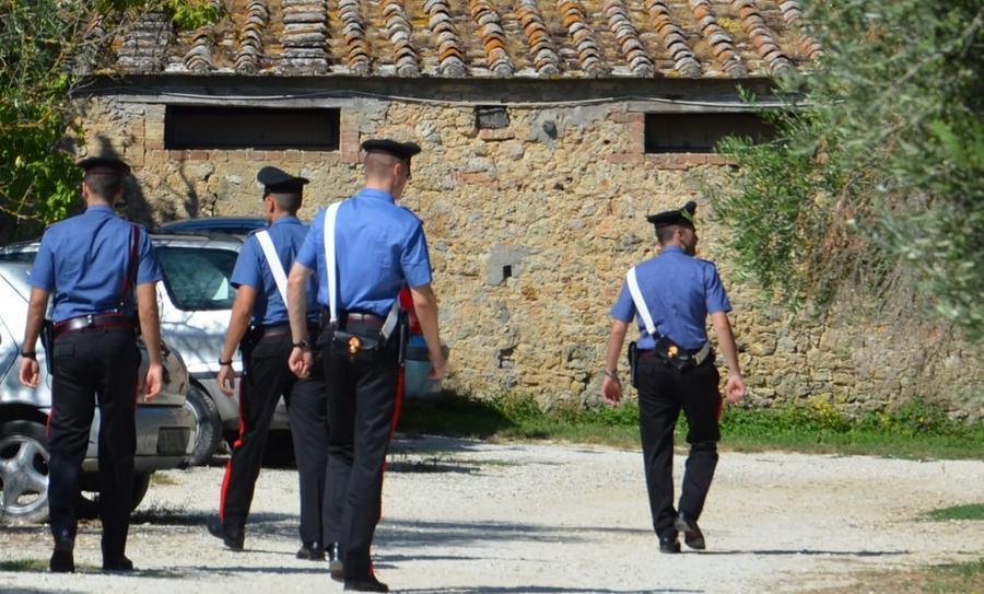 Perquisiscono la casa per un furto e trovano 72 chili di marijuana, arrestato un 36enne a Pimentel