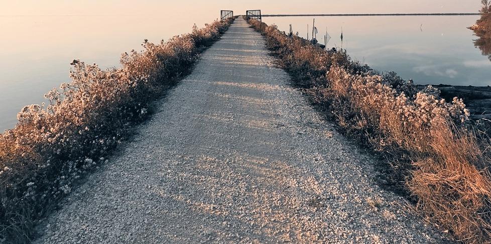 Comacchio, Casone S. Alberto: la sua proprietà è ancora un rebus