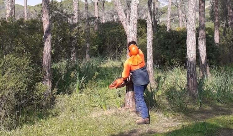 Forestas, 635 assunzioni straordinarie nel triennio 2023-2025