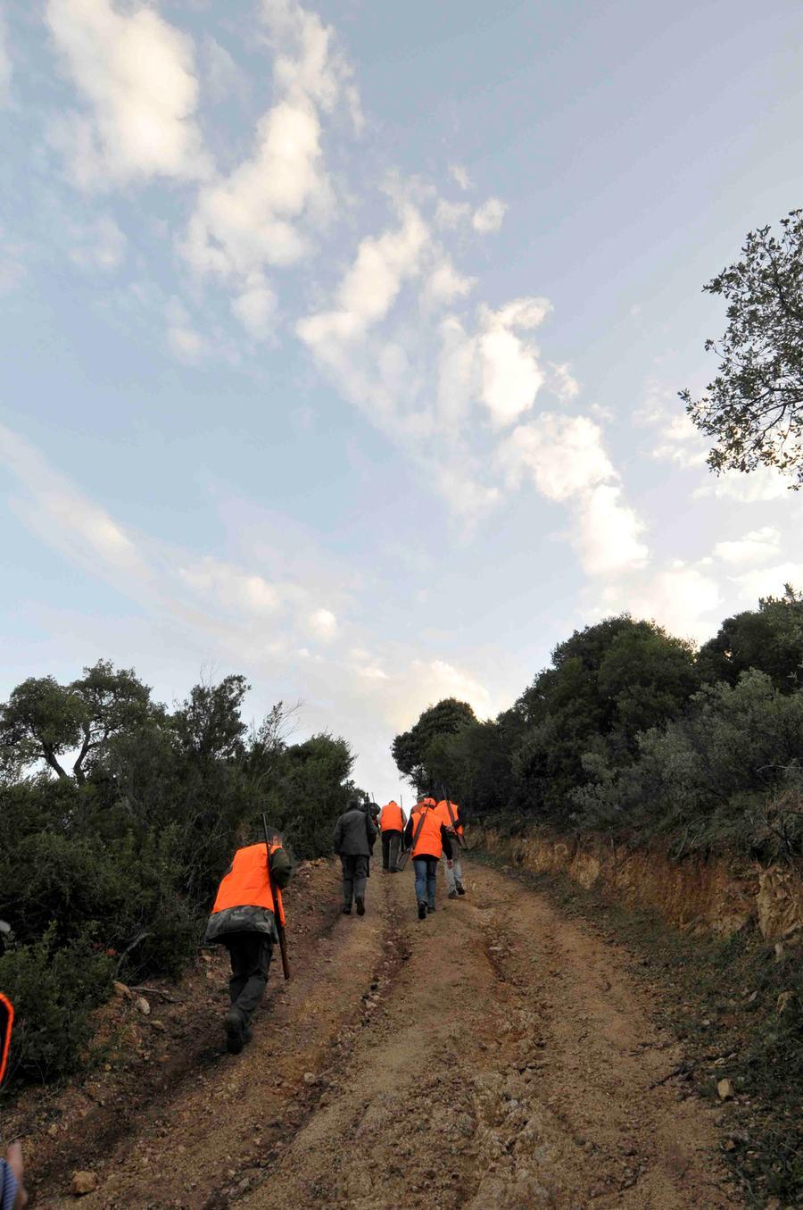 
	Una battuta di caccia grossa (archivio)

