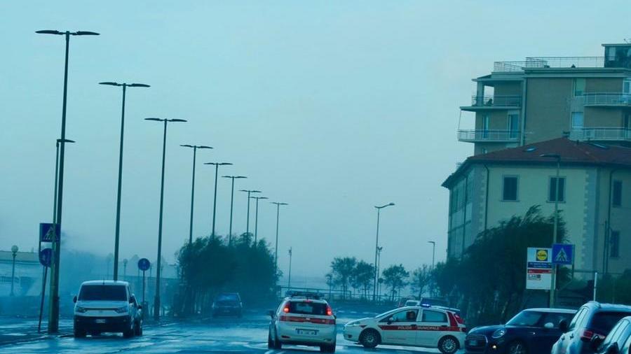 Livorno, chiuso il viale Italia per il vento e vie interrotte anche tra Collesalvetti, Nugola e le colline: i dettagli