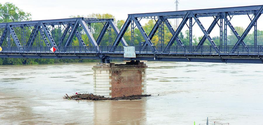 Ferrara, il Po verso il livello di attenzione: «Il piano di rinaturazione riparte»