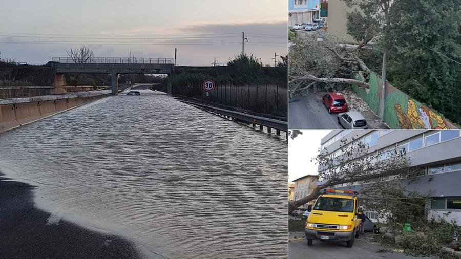 Livorno, piazza Dante: riaperte a tempo record le poste chiuse per il crollo di un albero. In via Cecconi giù il muro del Bosco dei Cappuccini e la Fi-Pi-Li è ancora un fiume di acqua