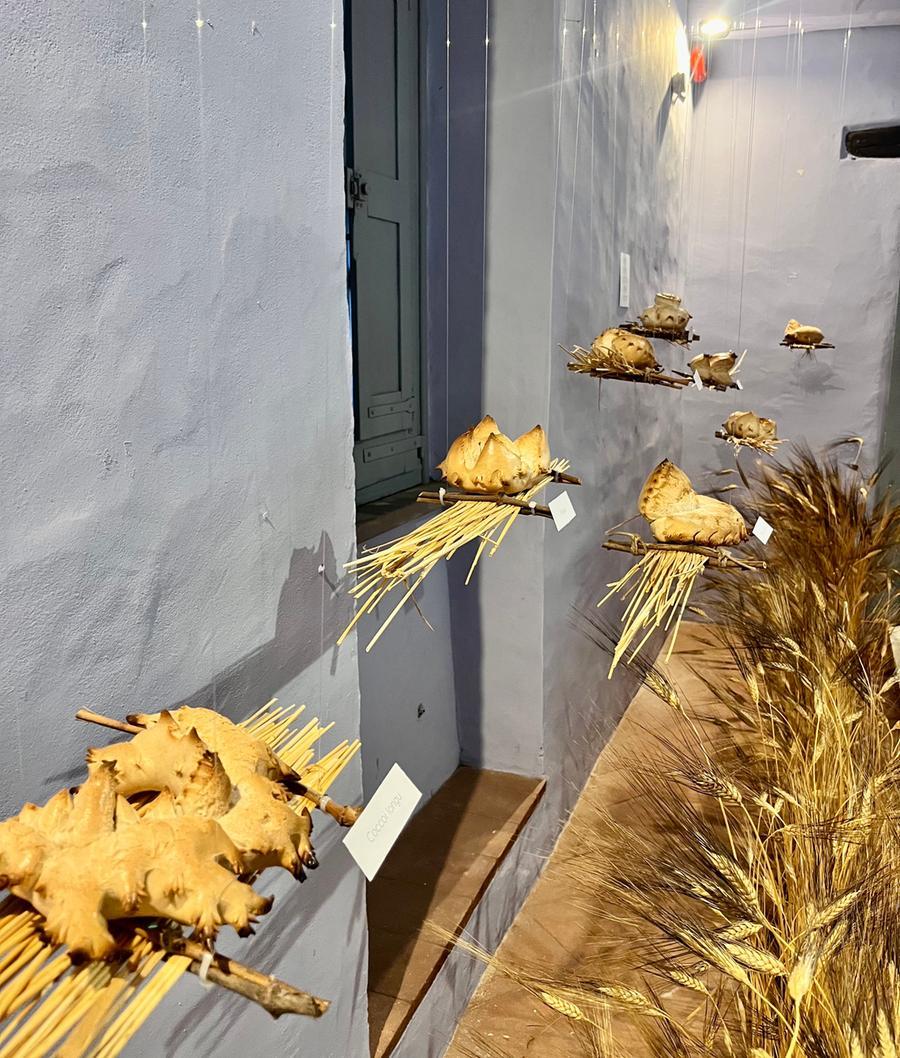 
	Esposizioni al Museo del Pane

