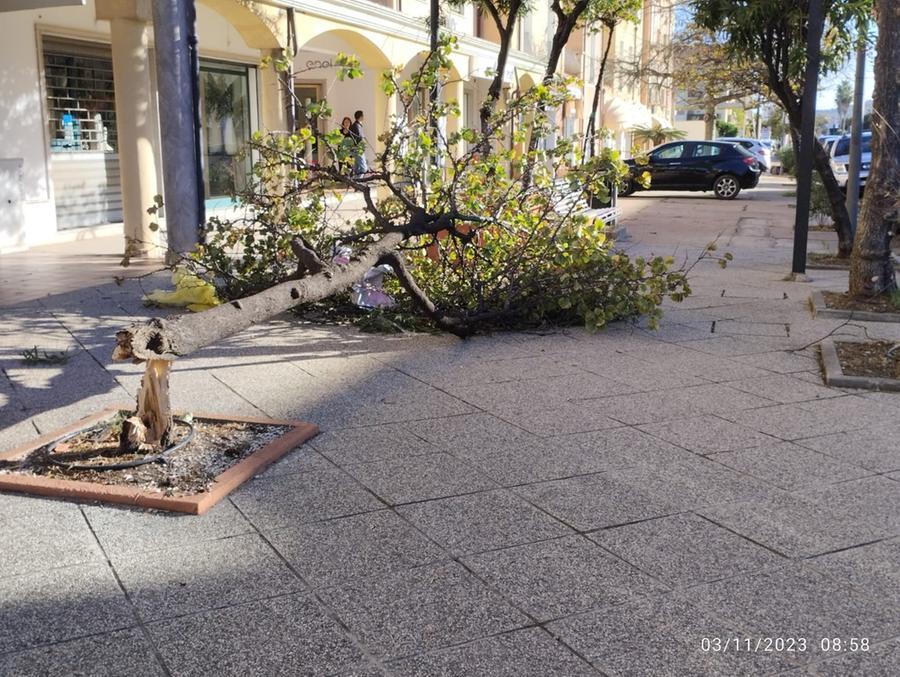 Maltempo, ingenti danni a Tortolì e ad Arbatax