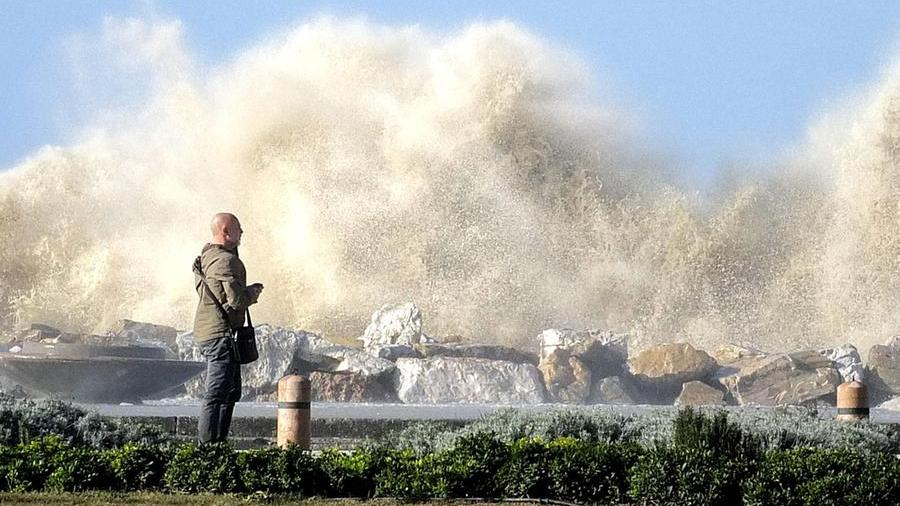 Marina di Pisa, raffiche di vento a 120 all’ora: allagamenti e paura. In città crolla un pino sulla strada – Video