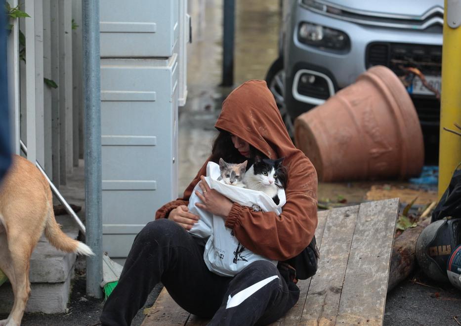 Una ragazza piange dopo aver portato in salvo i suoi gatti
