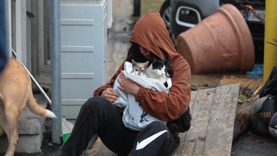 Una ragazza piange dopo aver portato in salvo i suoi gatti