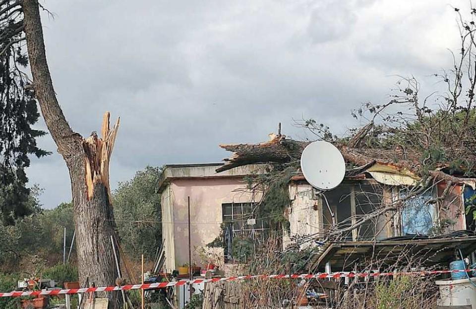 Follonica, albero piomba sulla veranda: fratelli intrappolati in casa