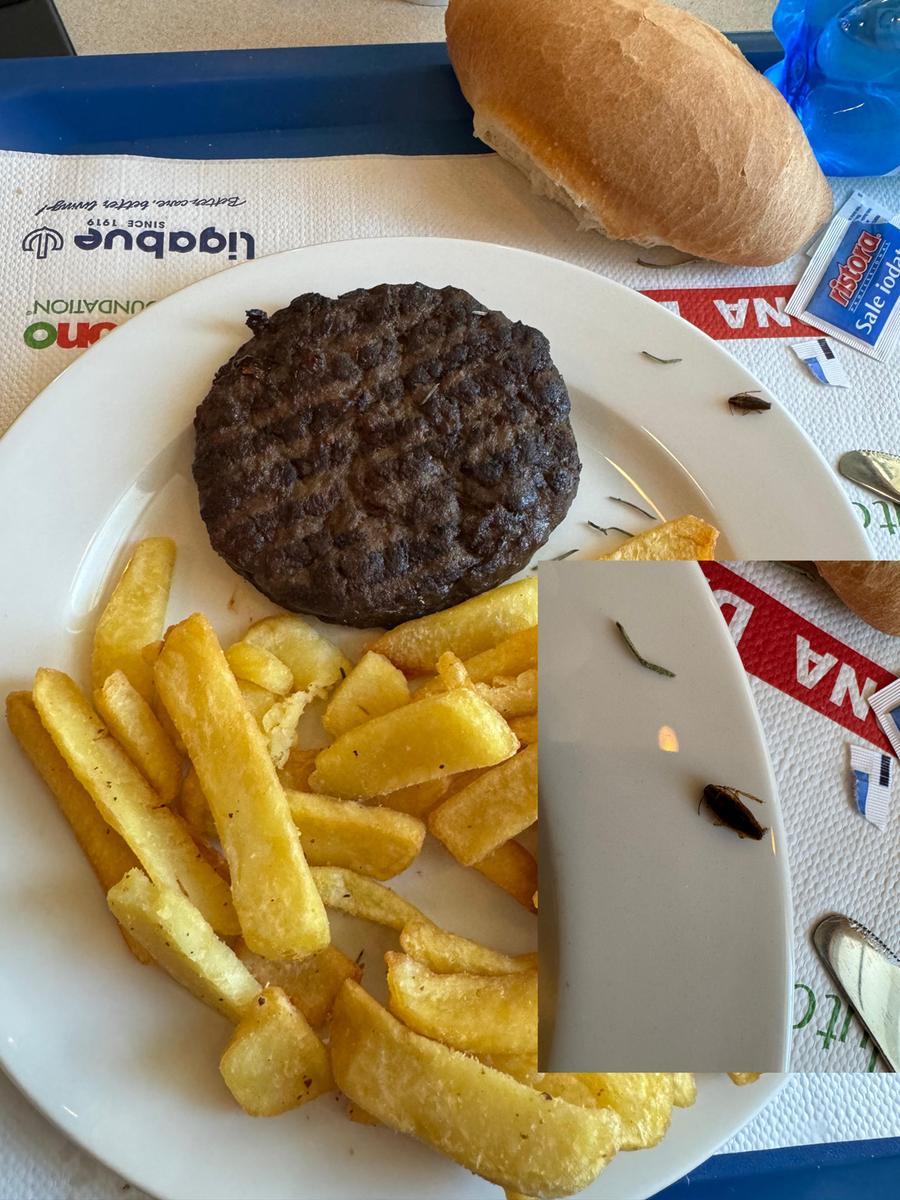 Hamburger con blatte a pranzo sulla nave Athara da Olbia a Genova
