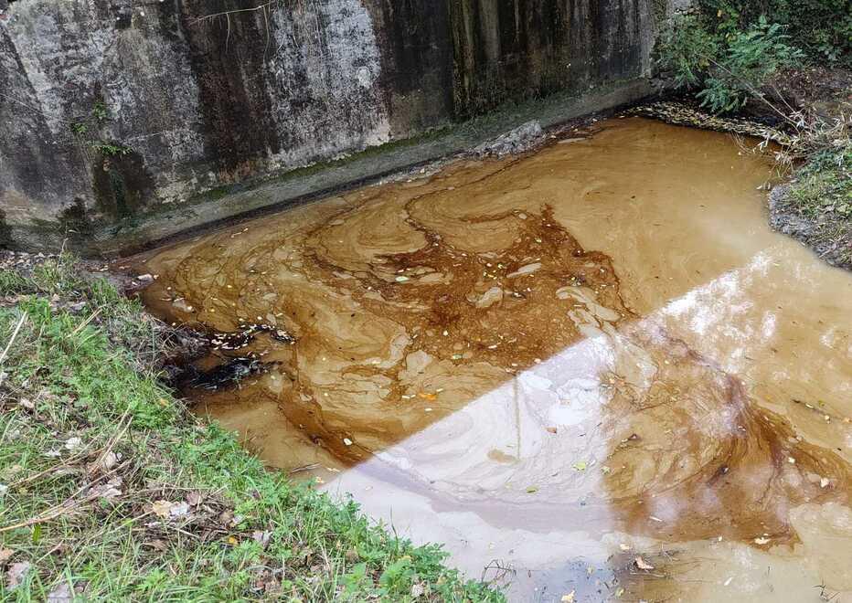Savignano. Il torrente viene invaso dal gasolio: «Abbiamo salvato le coltivazioni»<br>
