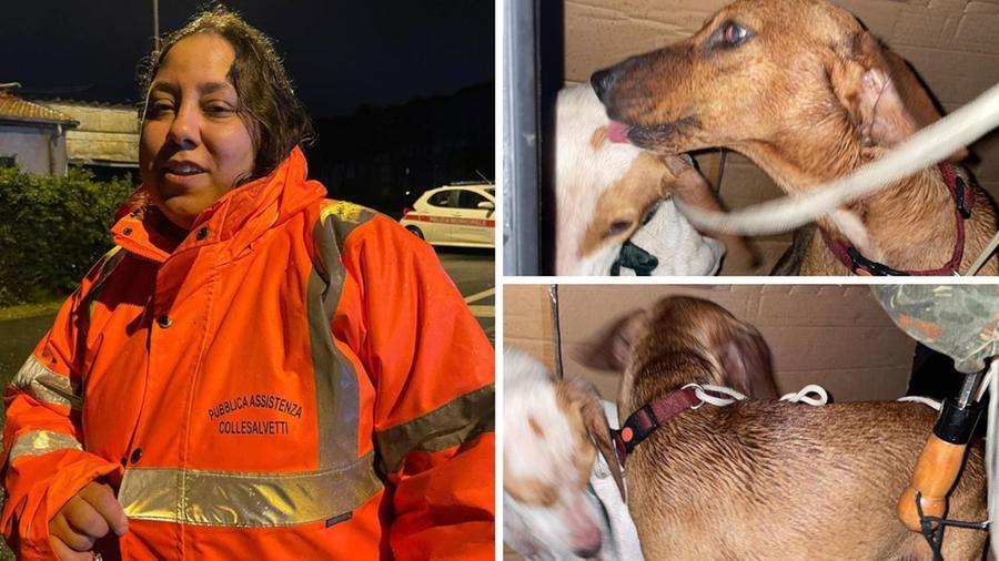 
	Lisa Bellandi e destra le cagnoline appena messe in salvo&nbsp;

